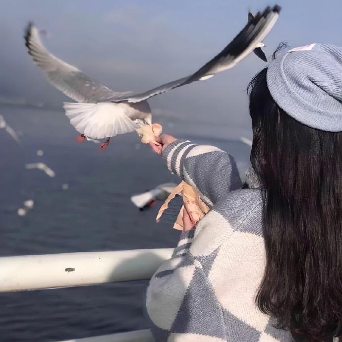 小橙子吉吉
