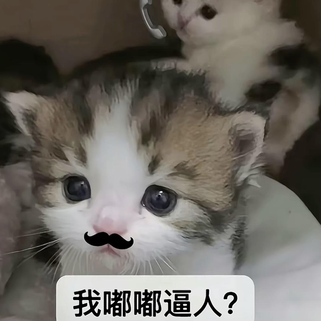 回忆如水般流淌