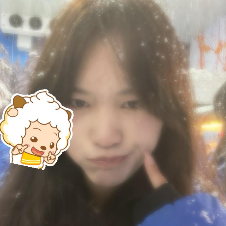 懒羊🐑的奋斗记