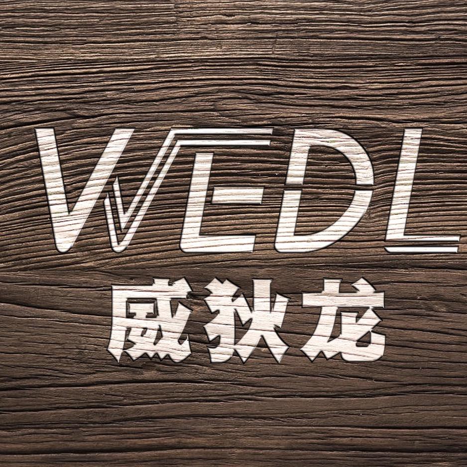 德国威狄龙WEDL音响店