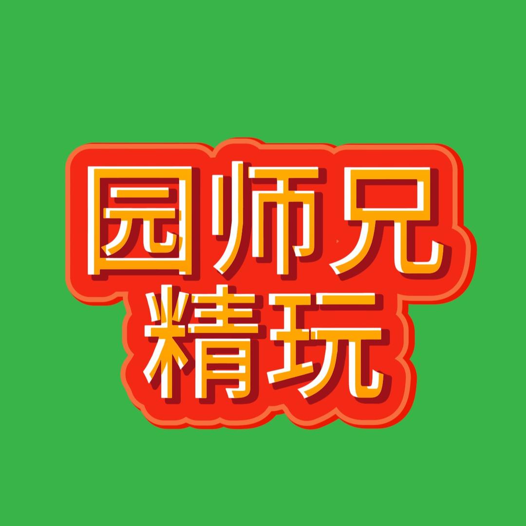 园师兄精玩
