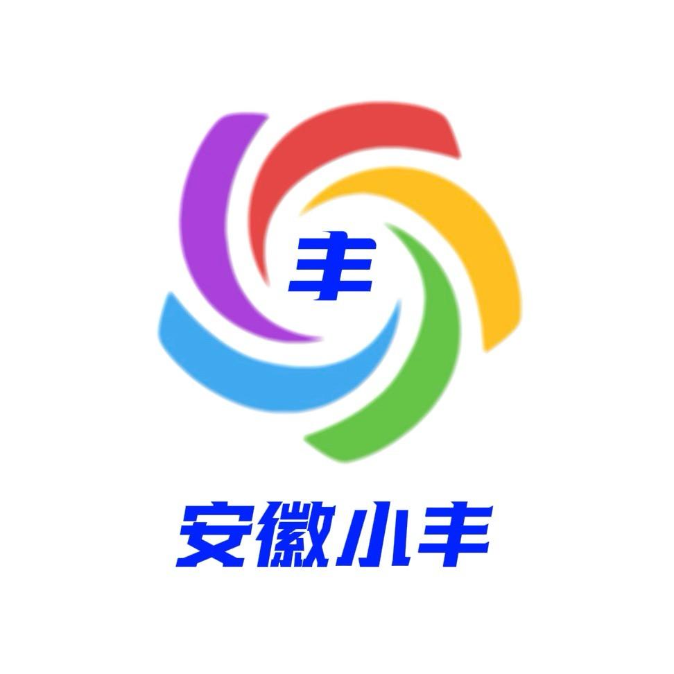 安徽小丰（纪录片）