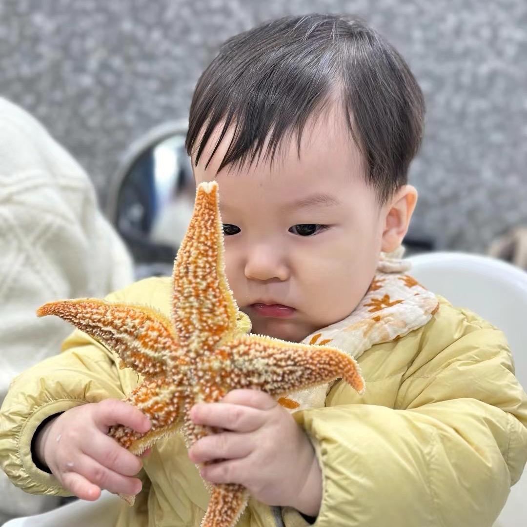小馄饨辰宝