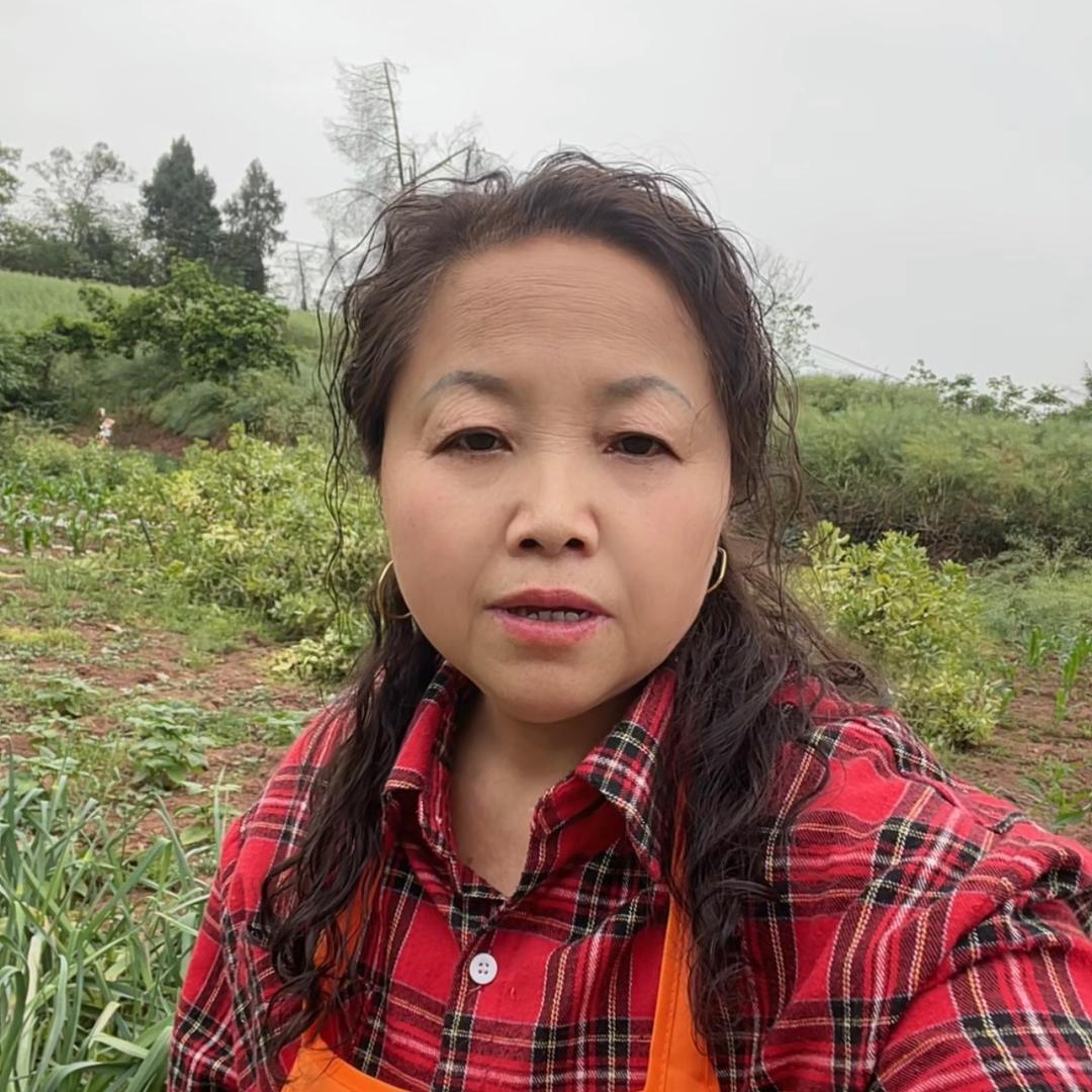 小龙姐
