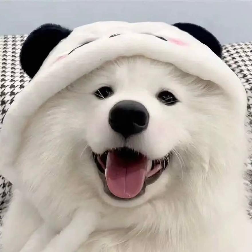 温柔小狗