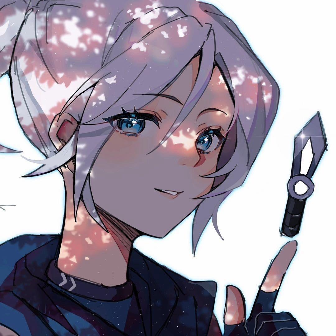🥕萝卜哥robb