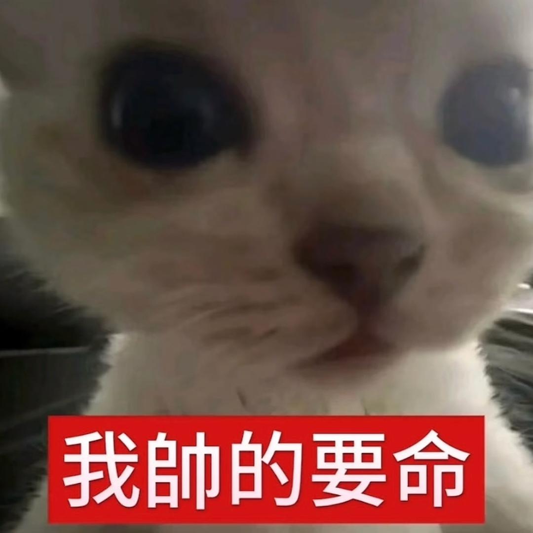 帅爆你的苦茶