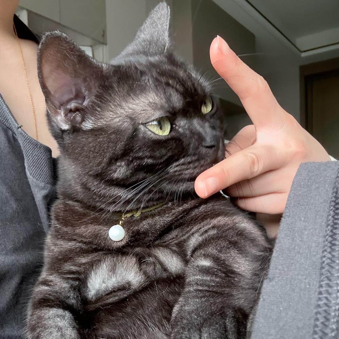 来客and来财🐈‍⬛