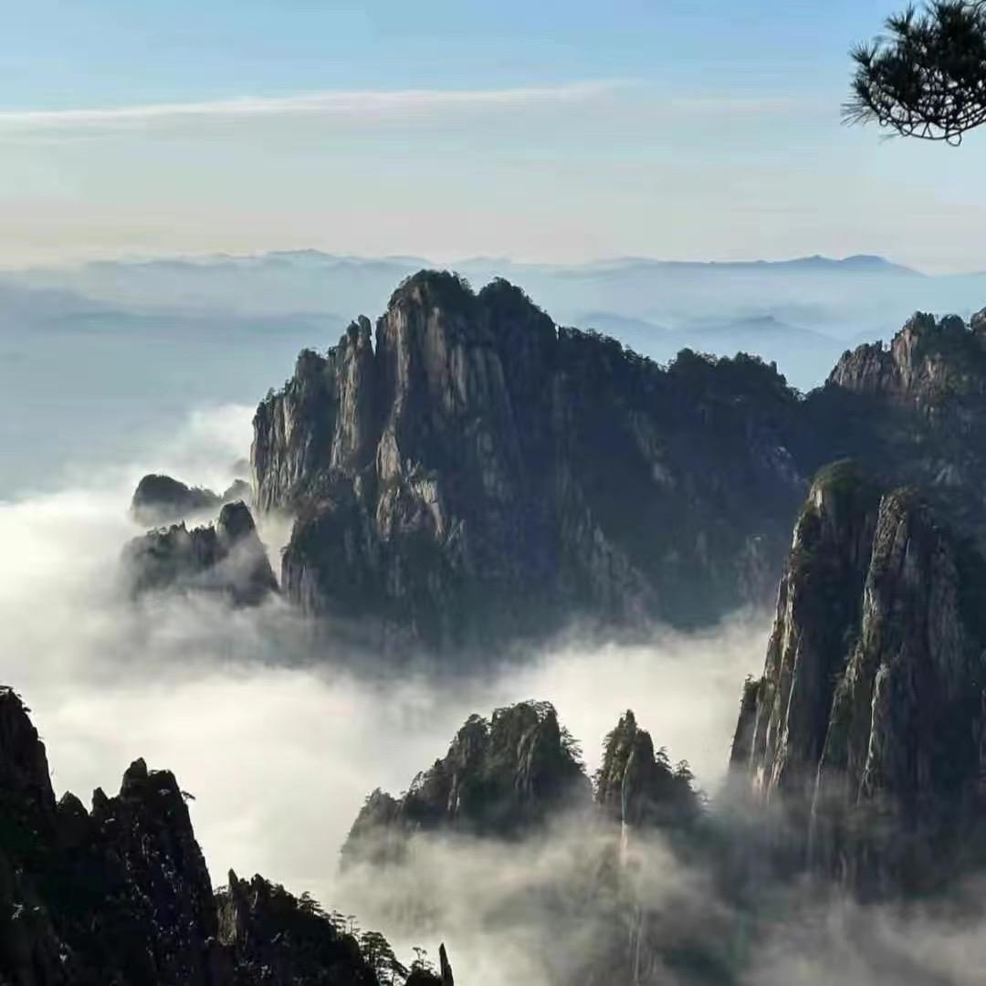 湾里师兄百货店