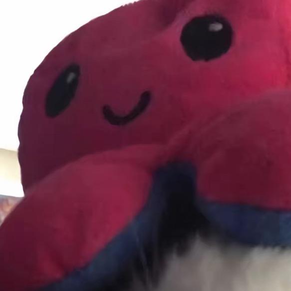 小章鱼会一直笑的