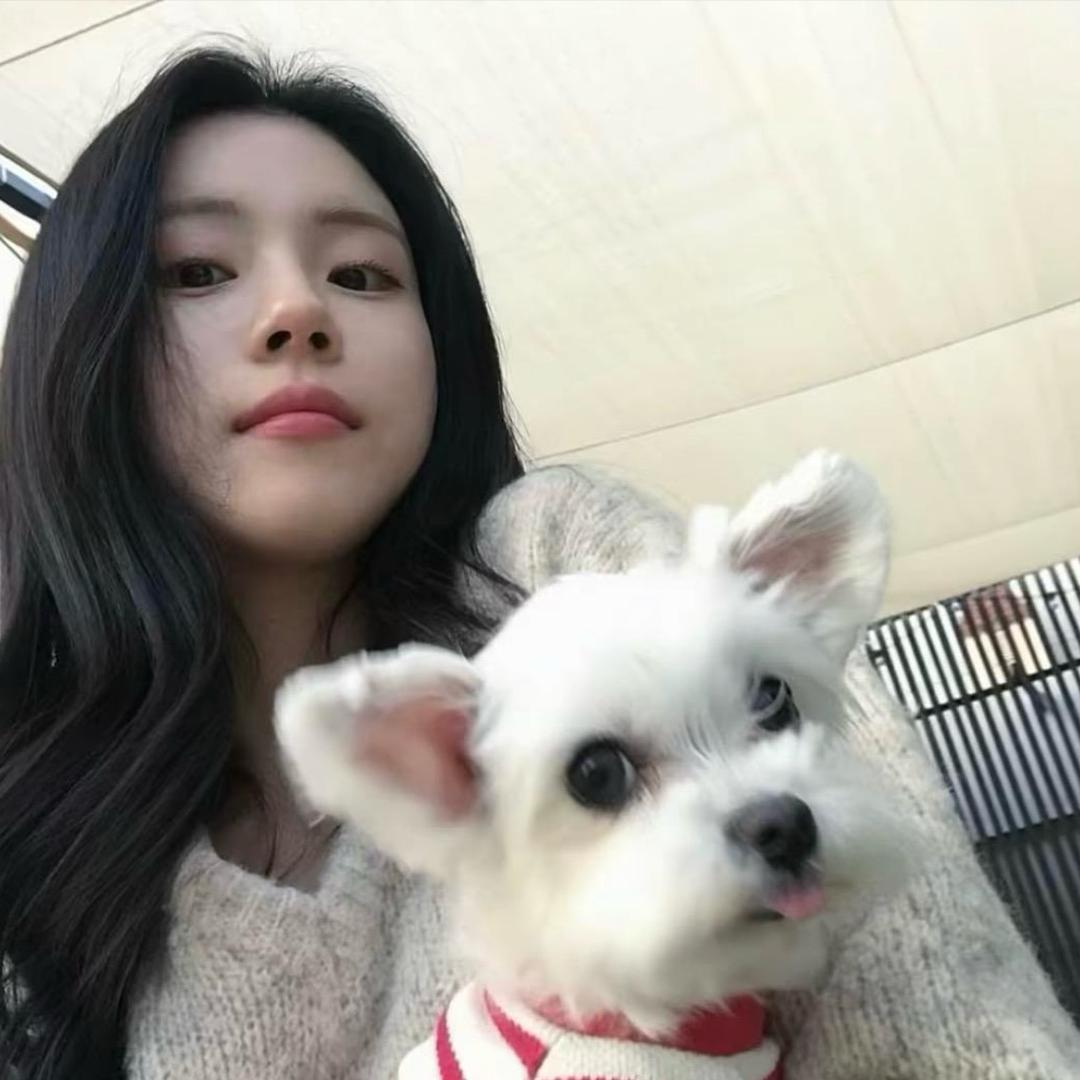 snowoll🌷