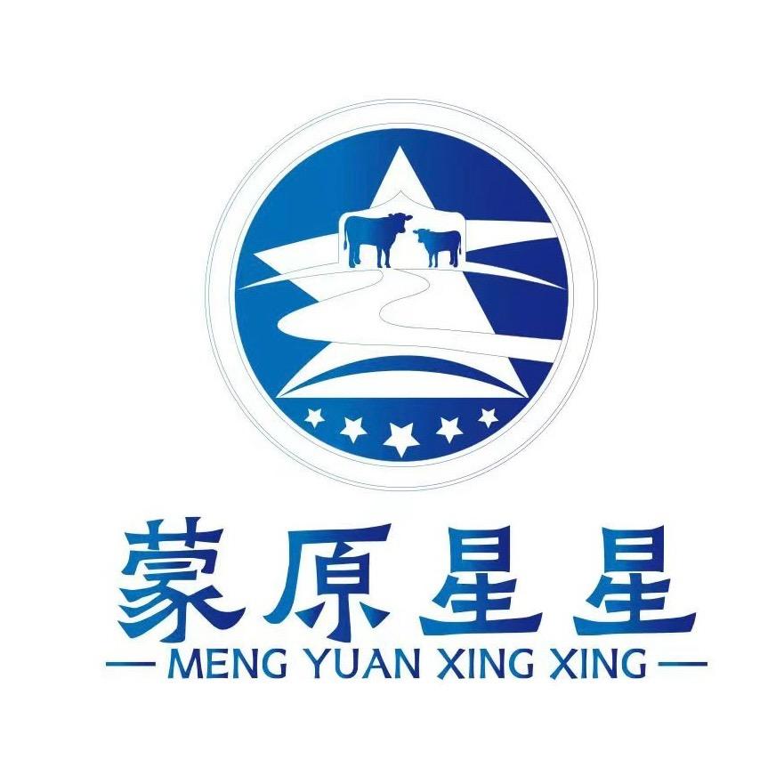 蒙原星星牛肉干