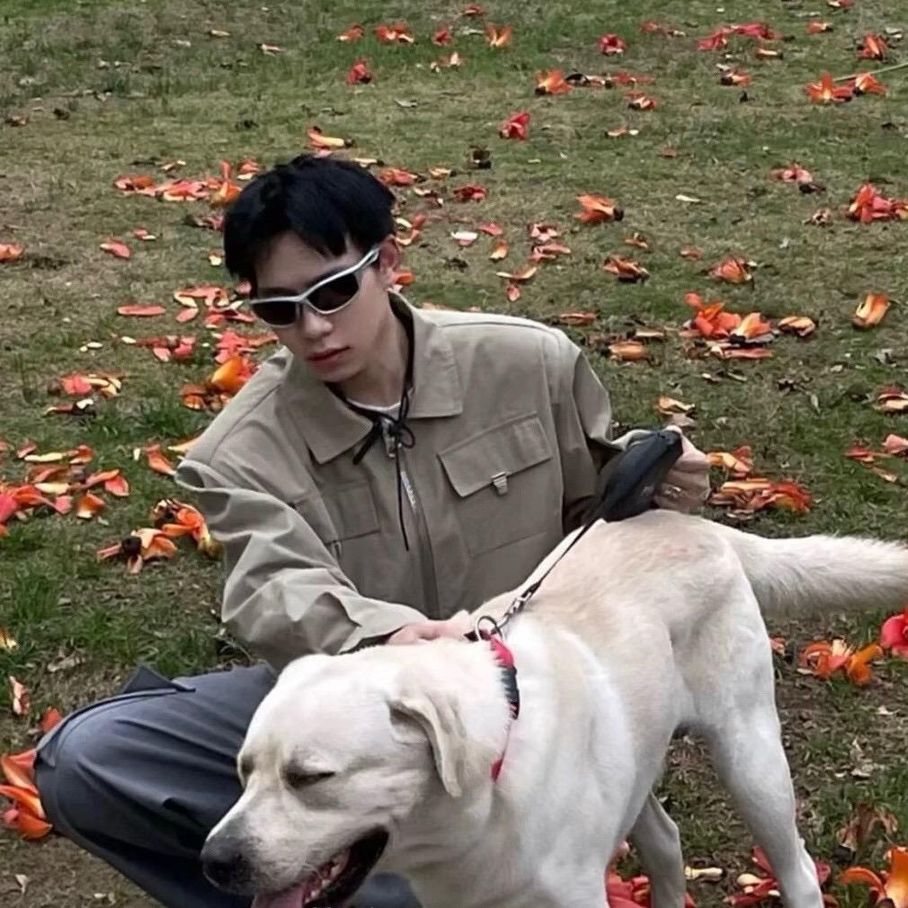 今天也很帅