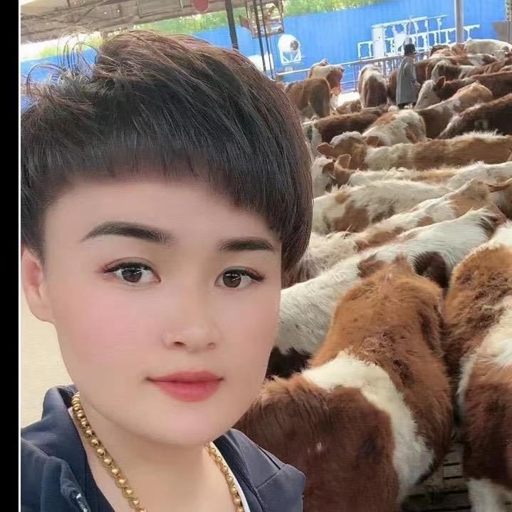 嘉祥县一姐肉牛养殖场