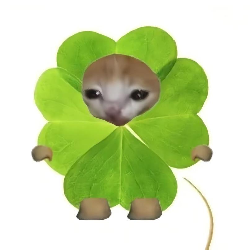 一只🐣两只🐣🐣三只🐣🐣🐣