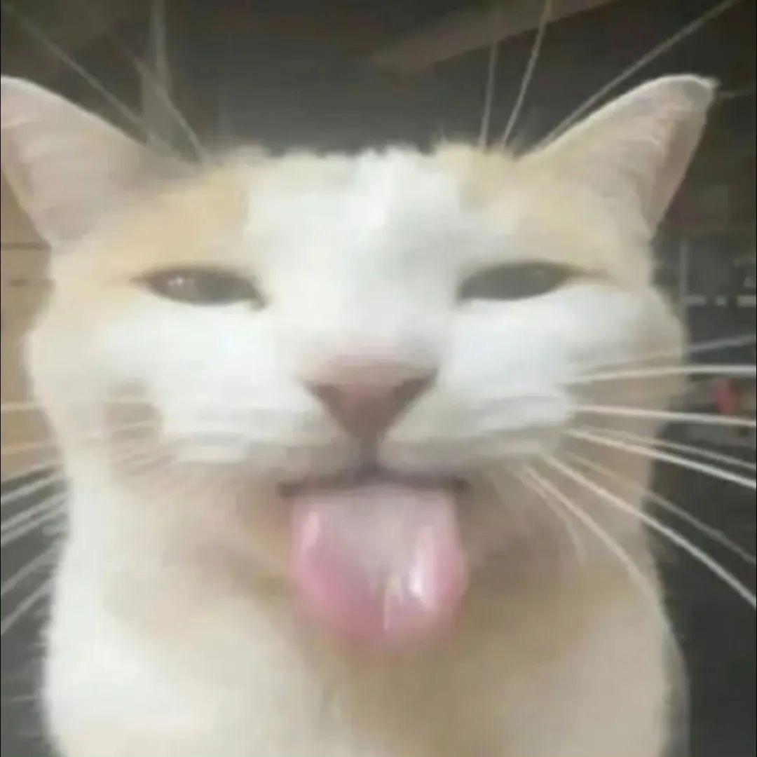 xx.