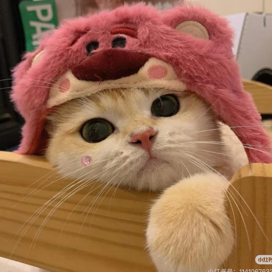 拧巴小陈.