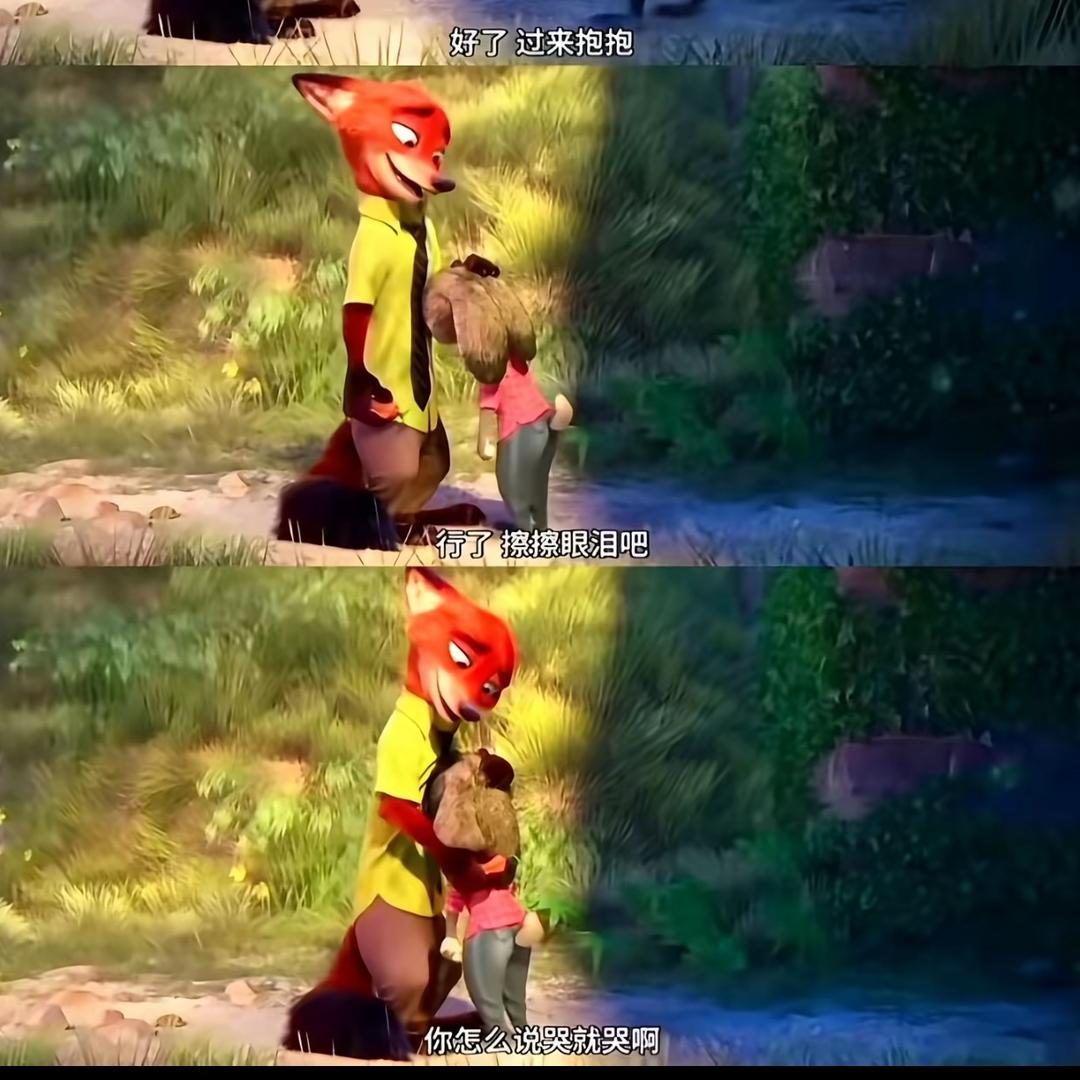 金姐🌾（喵喵）（无人要版）