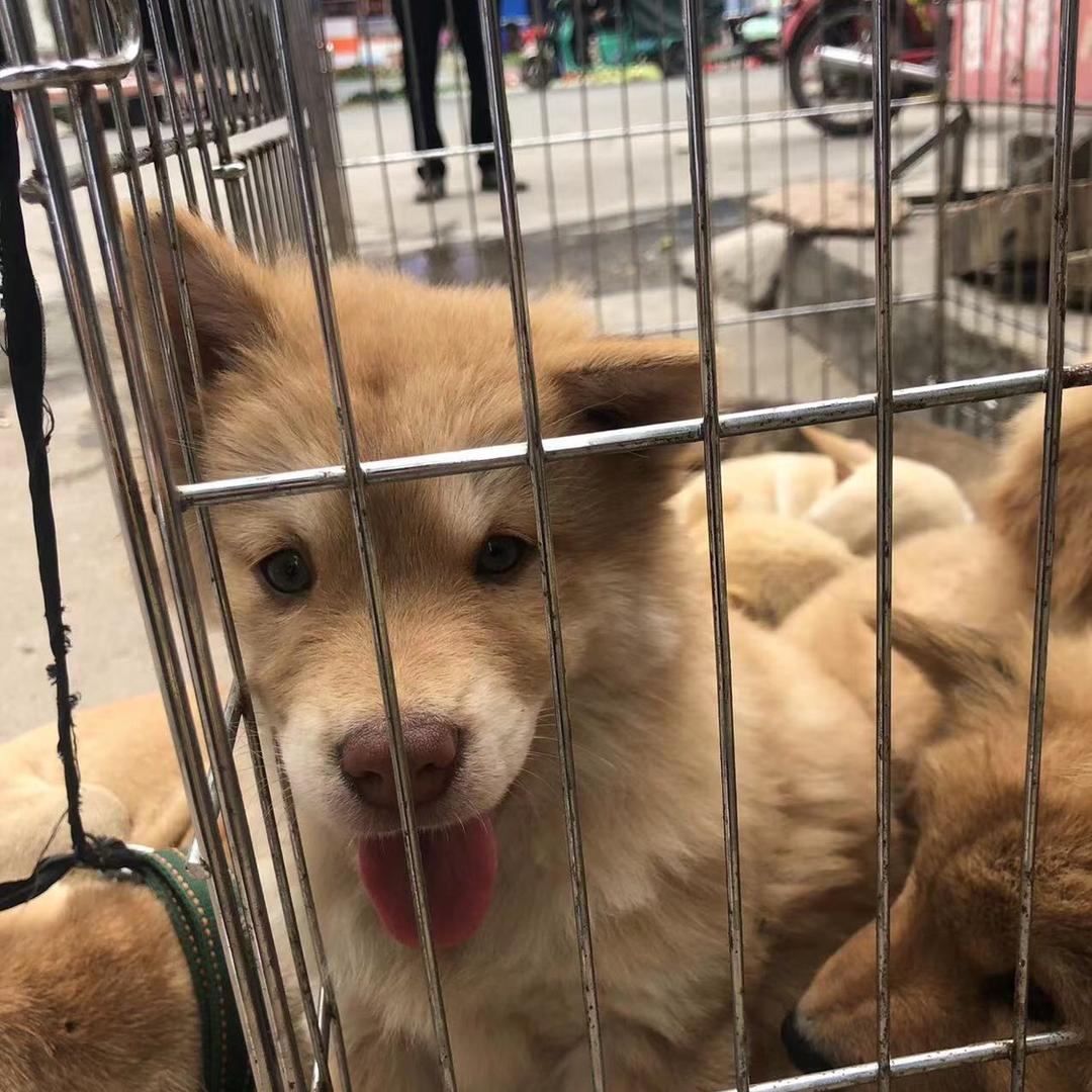 战战的神[三角洲行动】