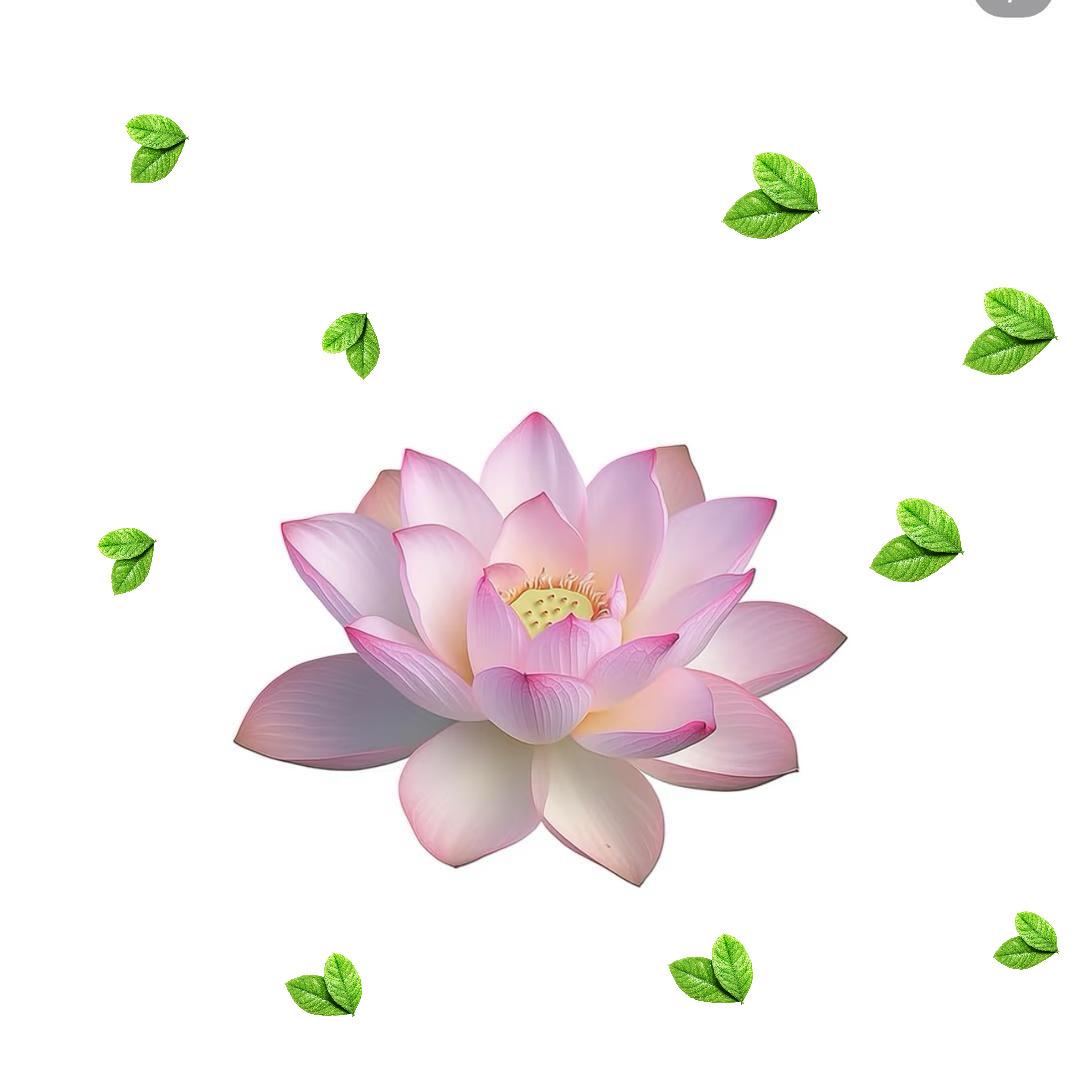 0000