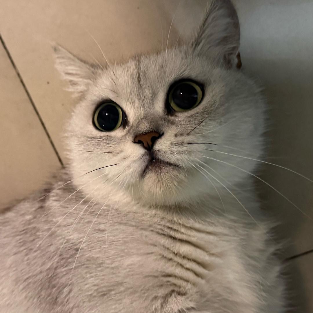 我爱发财身体健康