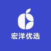 南阳宏洋生物科技有限公司