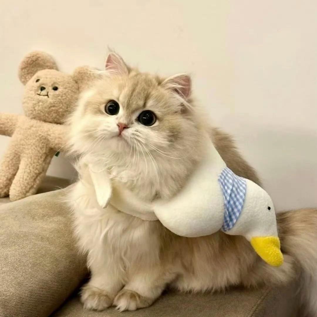 小K耶～