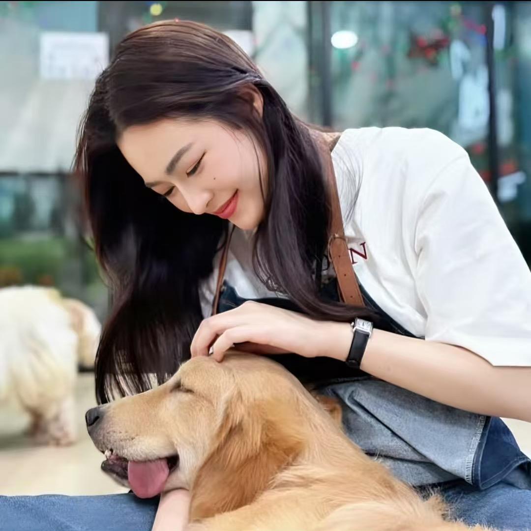一个被丢弃的朋友