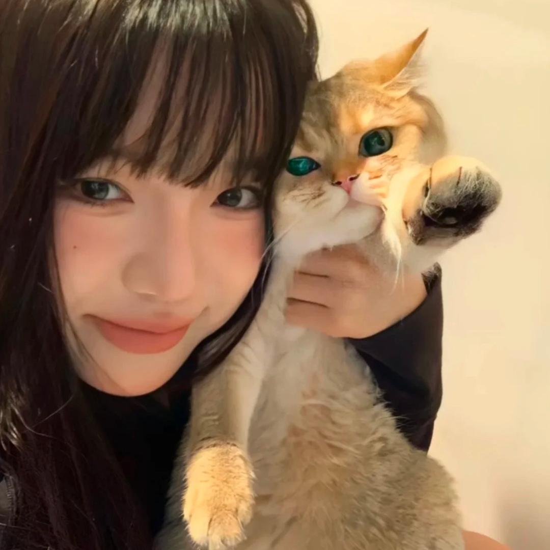没有喵喵