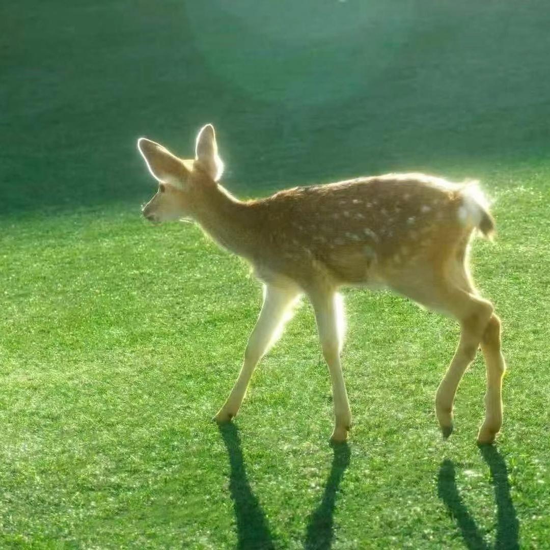 蛋宝