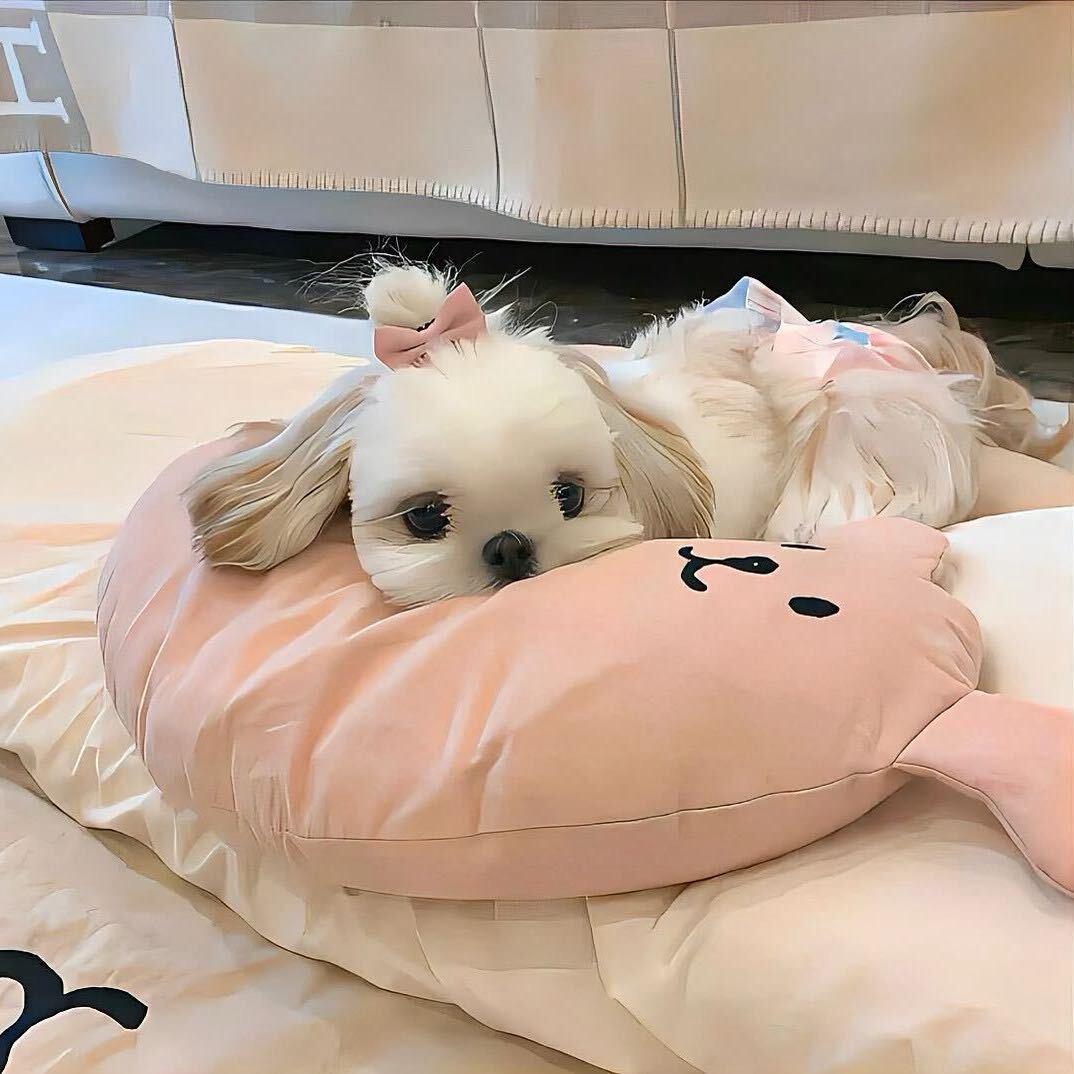 草莓蛋糕