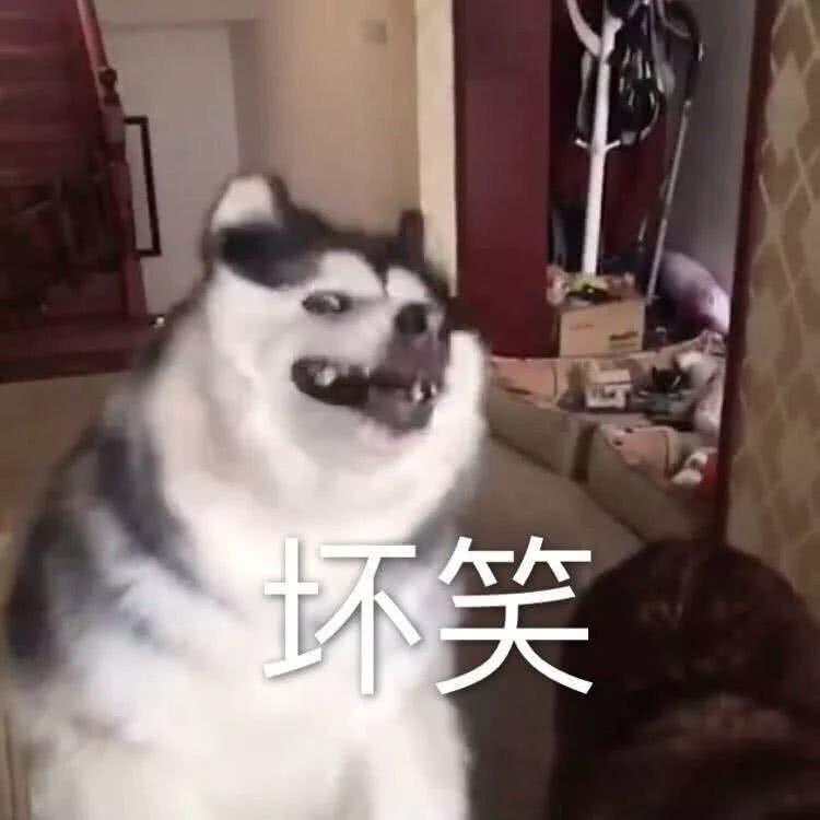 男人减速带（橱窗加油站）