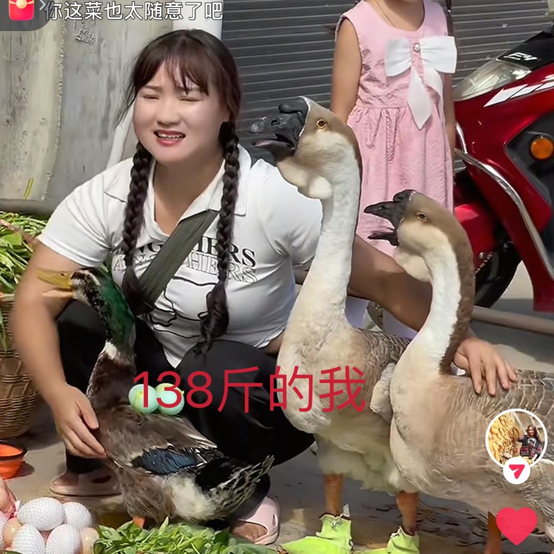 莲妹妹（已瘦40斤）