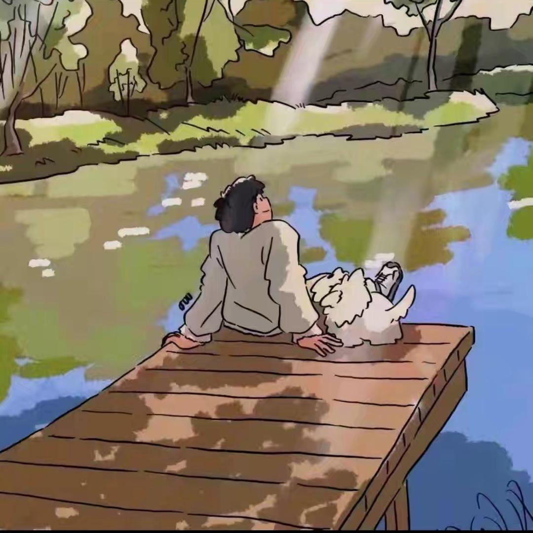 卡车猫