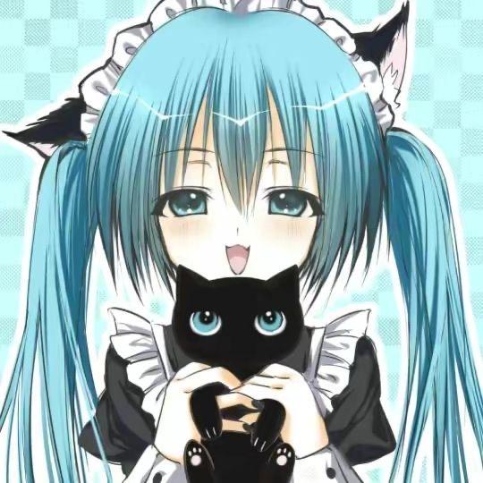 ねこ☆♪