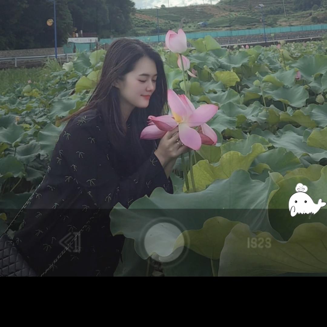 小蝙蝠
