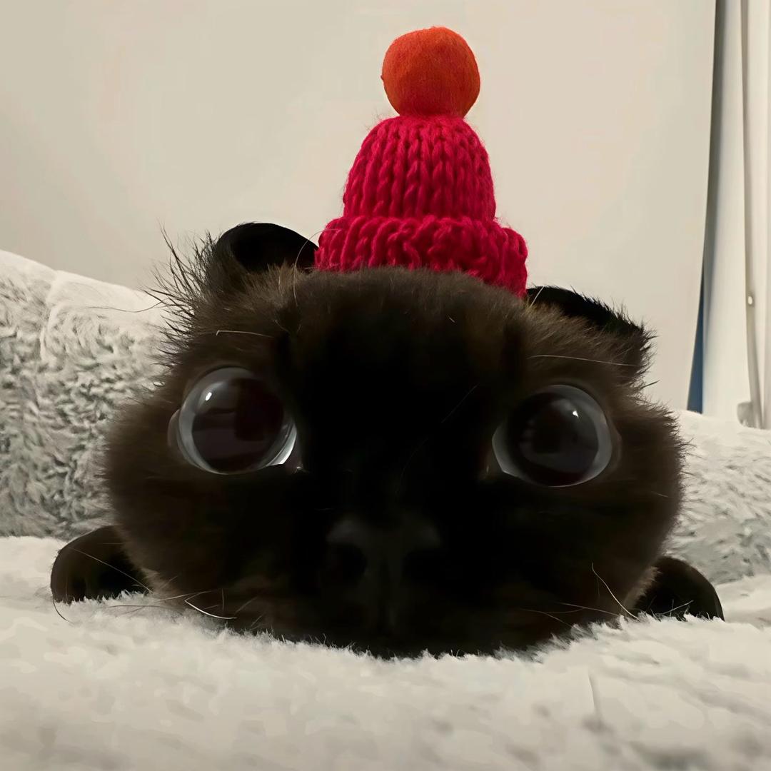 ʚʕ̯•͡˔•̯᷅ʔɞ