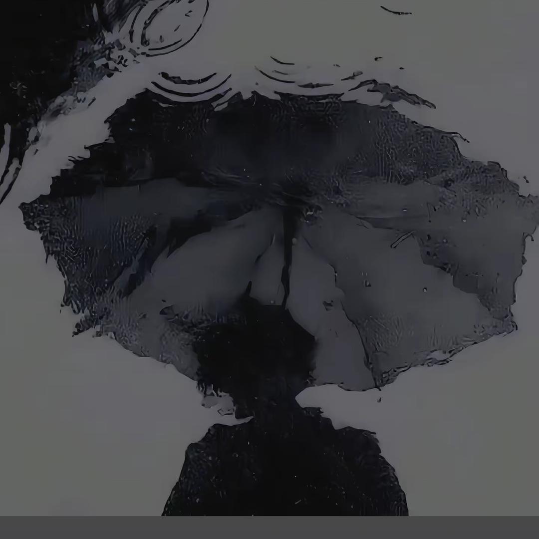 12🏴‍☠️
