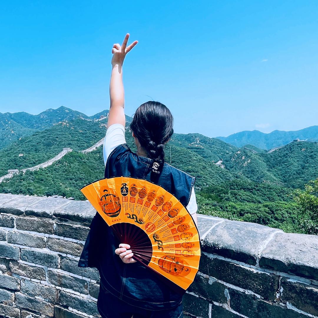 树儿老师（在线……）