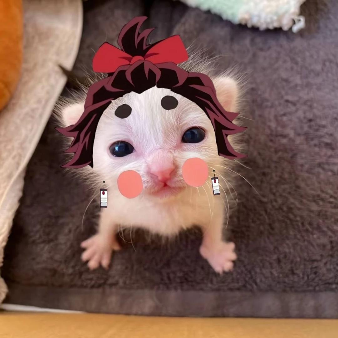 陈千one（求推荐