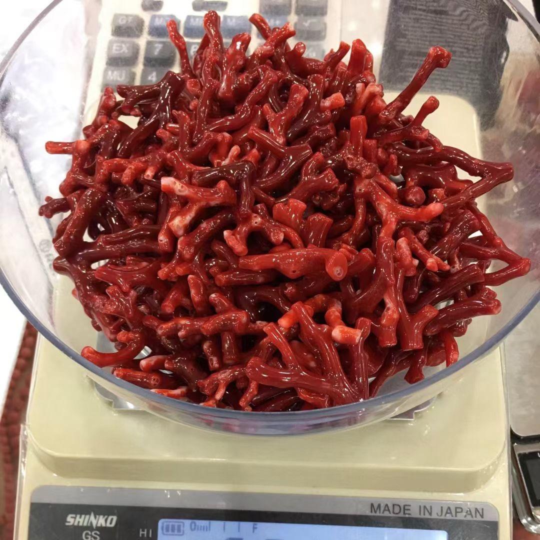 @嘉绒  若哥  的珊瑚🪸