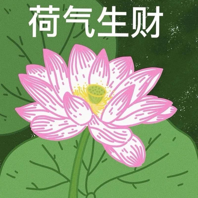 鹿屿晶穹