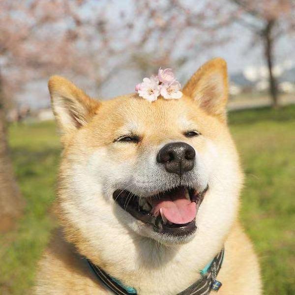 千姿阁