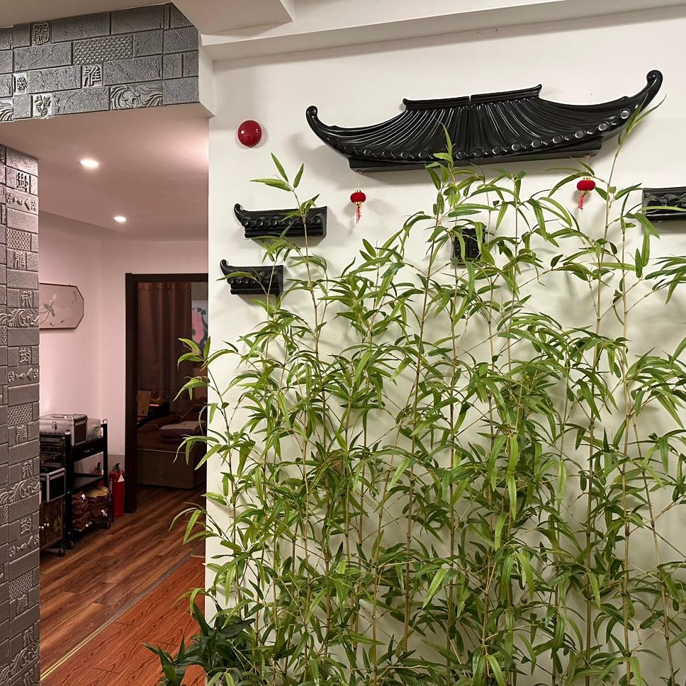 雪灵采耳官方号