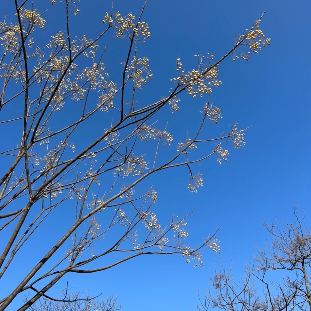 塔芤
