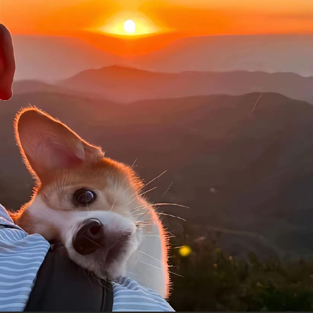 你认识的阿杰