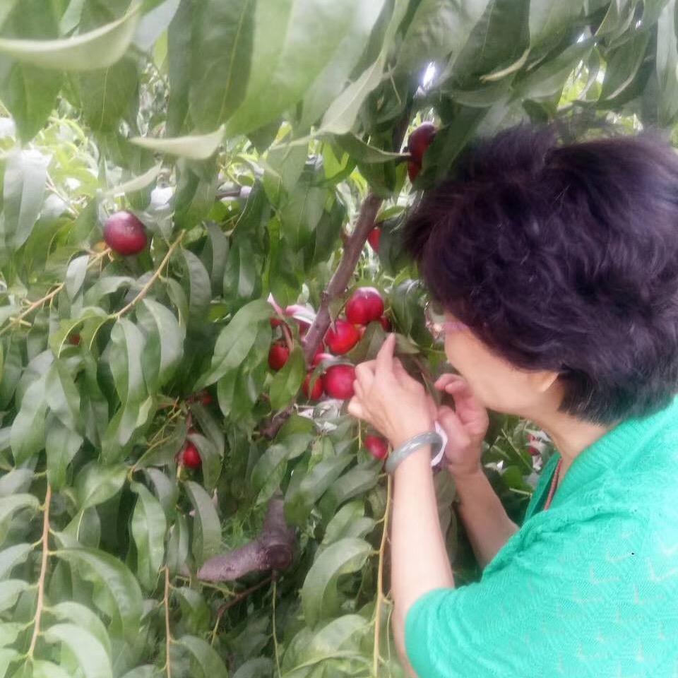阳光女性