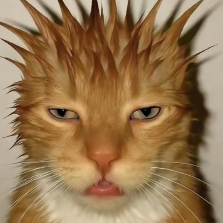 OMG