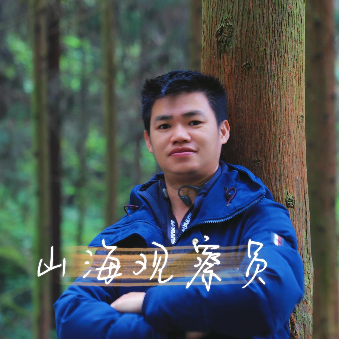 宝藏旅行挖掘机