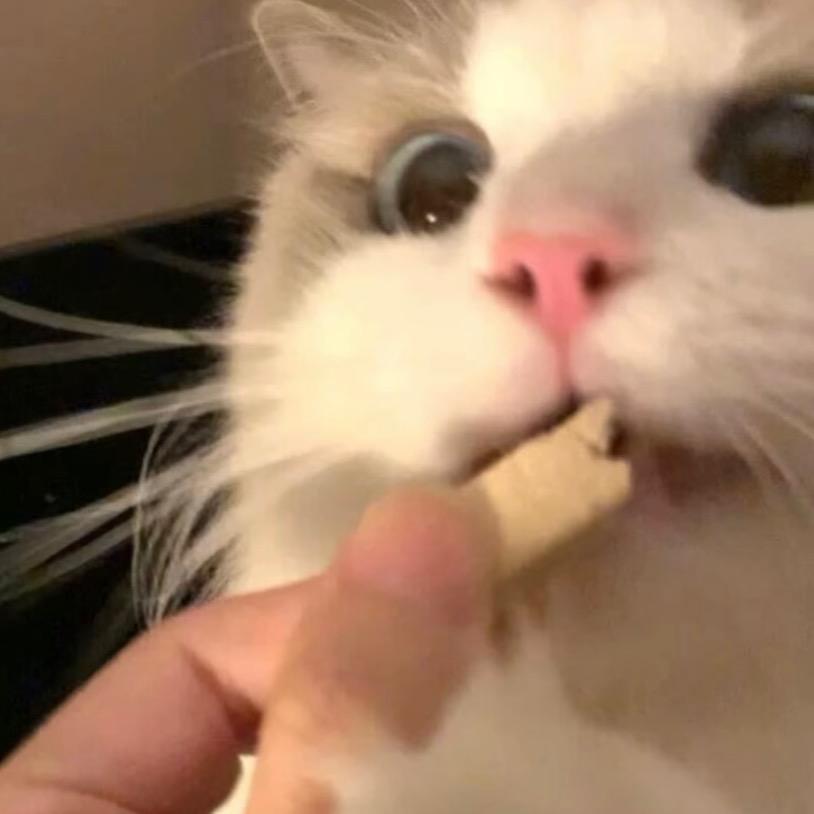 ᥫᩣ